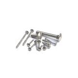 Carriage bolts(I)