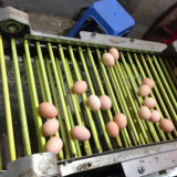 微信图片_20180103125151