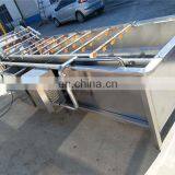 Full Automatic Fruits and Vegetables Washing and Drying Machine Production Line thumbnail-3