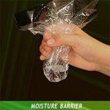 Transparent PLA Flexible Film thumbnail-2