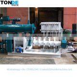 Henan Small Electric Floating Fish Feed Extruder/DSP Series Wet Type Floating Fish Feed Processing Machine thumbnail-4