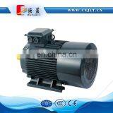 Electric Motor for Conveyor Belt Induction Motor thumbnail-5