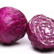 F1 hybrid red purple cabbage seeds SXC No.2