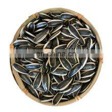 Argentina Sunflower High Oil Seeds