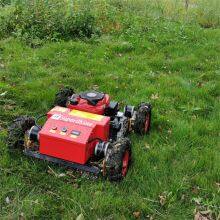 Remote Control Mower for Sale, China Radio Controlled Mower Price, Remote Mower for Sale