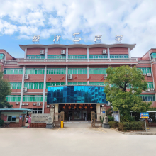 Shengyang Acoustics (Guangdong) Co., Ltd. company overview - view 1 thumbnail