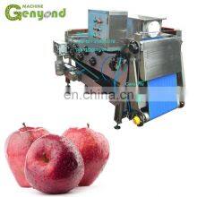 GYC-20 Small Belt Press Extractor for Apple/pineapple thumbnail-1