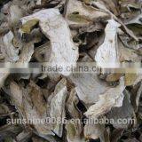 Market Prices for Mushroom thumbnail-3