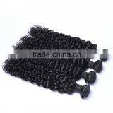 WJ002 5A Grade 100% Virgin Kinky Afro Curl Ombre Hair Extension Supplier's Choice thumbnail-4