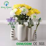 Greenflower 2016 Barberton Daisy Real Touch Chinese Herbaceous Peony Wedding Decrations Flowers thumbnail-4