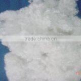 Conjugate Fiber thumbnail-1