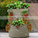 Garden strawberry planter grow bag