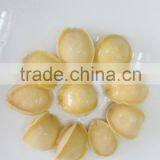 Canned Abalone Canned Seafood thumbnail-4