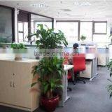 Yiwu Bling Young Jewelry Factory company overview - view 2 thumbnail