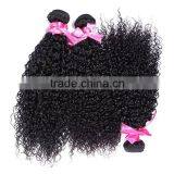 Brazilian Human Virgin Kinky Hairpiece Manufacturer Curly Wave Wholesale thumbnail-2
