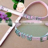 2011 personalized pet collar
