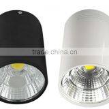 Wholesale Price IP65 30W Led Waterproof Downlight With White/Black Housing Colors