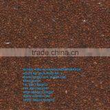 BANGLADESH SESAME SEED thumbnail-1