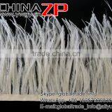 ZPDECOR No.1 Feather Supplier Feather Size 15-20 cm Beige Ostrich Feather Fringe thumbnail-3