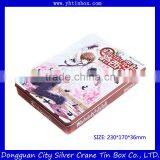 Fancy Lunch Tin Box/Cartoon Tin Box