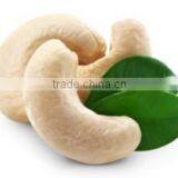 Cashew Nuts