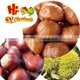 Roasted Peeled Chestnuts Snacks thumbnail-5