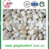 wholesale peanuts peanuts kernels shelled blanched peanut price