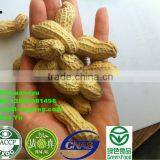 ROASTED PEANUT IN SHELL 9/11 NATURE FLAVOR thumbnail-1