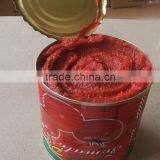 Canned Tomato Paste 28-30% Price Canned Tomato Paste thumbnail-3
