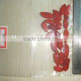Ningxia Goji Berry thumbnail-3