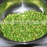 Automatic Bean Skin Peeling Removing Shelling Machine thumbnail-4