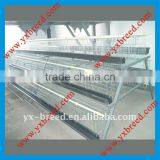 Green Farm Chicken Cages for Chicken Breeding
