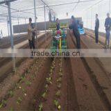 Chinese Vegetable Sower thumbnail-6