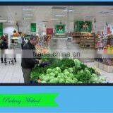 E1561 Outdoor Misting System Pump, Personal Misting System Hand Pump, Industrial Pump thumbnail-4