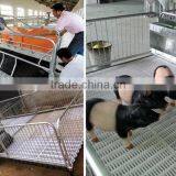 High Quality Pig Cage/pig Equipment/poultry Farm Equipment thumbnail-6