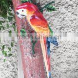 African Parrot Hooks thumbnail-1
