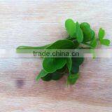 Home and Outdoor Garden Edging Christmas Decoration 60cm or 24inches Height Artificial Small Grass for Green Wall E04 1037 thumbnail-1