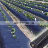 Spunbond Nonwoven Fabric Weed Barrier Cover thumbnail-4