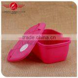 High Quality OEM Rectangle Plastic Preserving Box /crisper thumbnail-3