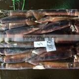 Frozen Argentina Squid Raw Material thumbnail-1