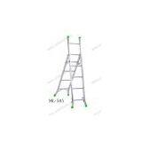 Aluminium Ladder