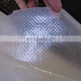 PE Woven mesh clear color tarpaulin scaffolding tarp for construction