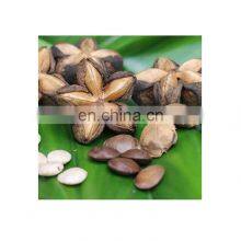 100% Organic Sacha Inchi Wholesale/Supply SACHA INCHI From VIETNAM With Good Price