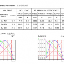 BL2847 PWM Pulse Wide Speed Range Built-in Driver Brushless Motor thumbnail-5