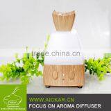 Electric Aroma Diffuser Lamp Aroma Humidifier Diffusers Advanced Essential Oil Diffuser