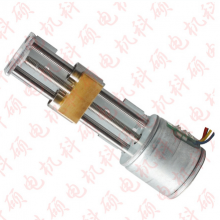 Miniature Stepper Motor Screw Slide Motor Biochemical Analyzer Stepper Motor thumbnail-2