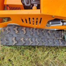 Cordless Brush Cutter, China Radio Controlled Lawn Mower for Sale Price, Robot Lawn Mower With Remote Control for Sale thumbnail-2