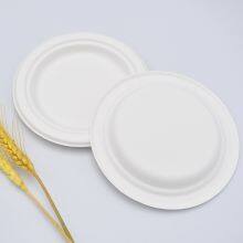 Disposable Plate, Degradable Thickened Paper Plate, Eco-friendly Tableware, Birthday Cake Plate, Heatable Pulp Dinner Plate, Picnic Plate thumbnail-4
