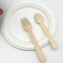Biodegradable Sugarcane Bagasse Pulp Tableware thumbnail-4