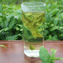 Yuqian Mingqian West Lake Green Tea Longjing 2023 Bulk Canned Tea thumbnail-5